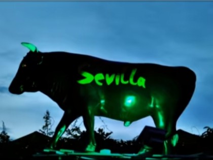 Фото: Bodega Sevilla